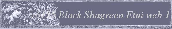 #6155
 Black Shagreen Etui 