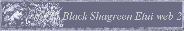 #6155
 Black Shagreen Etui 