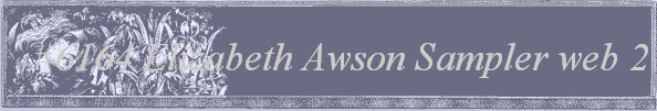 #6164 
Elizabeth Awson Sampler 