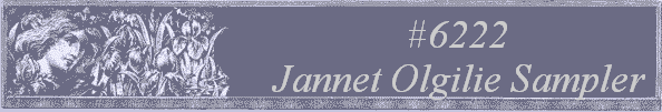 #6222 
Jannet Olgilie Sampler 