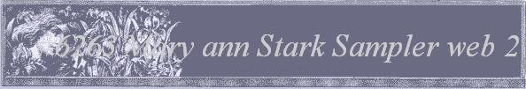 #6263 Mary ann Stark Sampler web 2