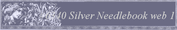 #6340 Silver Needlebook web 1