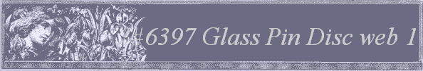 #6397 
Glass Pin Disc 
