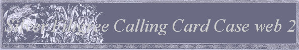 #6447 Silver Filigree Calling Card Case web 2