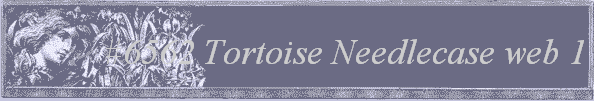 #6562 Tortoise Needlecase web 1