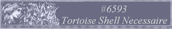 #6593 
Tortoise Shell Necessaire 