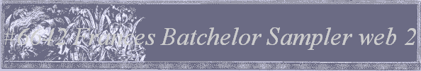 #6642
 Frances Batchelor Sampler 