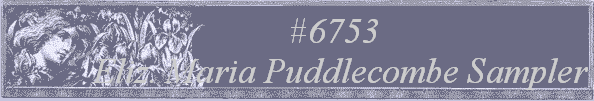 #6753
 Eliz. Maria Puddlecombe Sampler