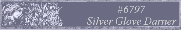 #6797 
Silver Glove Darner 