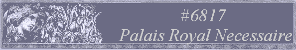 #6817 
Palais Royal Necessaire
