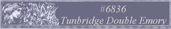 #6836 
Tunbridge Double Emory 