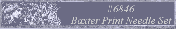 #6846
 Baxter Print Needle Set 