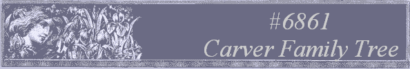 #6861
 Carver Family Tree 