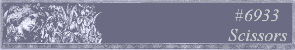 #6933
 Scissors 