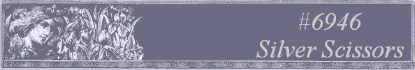 #6946 
Silver Scissors 