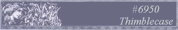 #6950 
Thimblecase 