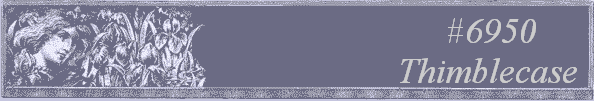#6950
Thimblecase 