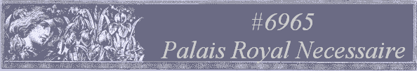 #6965 
Palais Royal Necessaire 