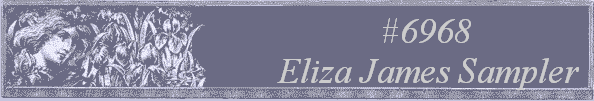 #6968 
Eliza James Sampler 
