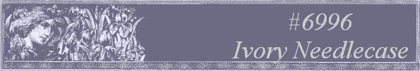 #6996
 Ivory Needlecase 